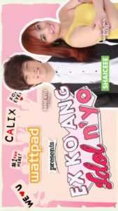 Wattpad presents… Ex Ko Ang Idol Nyo