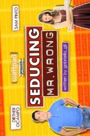 Wattpad presents… Seducing Mr. Wrong
