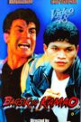 Bagsik ng Kamao