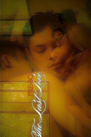 Pre-Bo: The Last Love